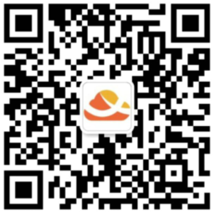 爱用云计算-专注海外国内云主机美国香港日本韩国新加坡东南亚VPS物理机服务器